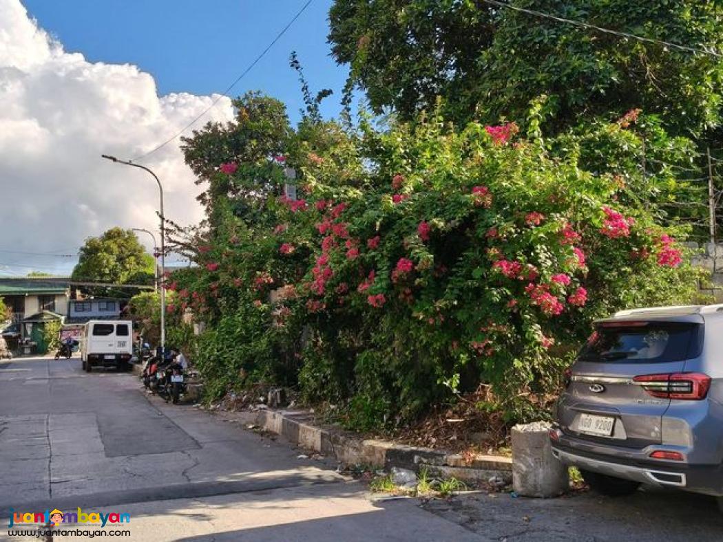 [ SALE ] HOUSE FOR RENT [ PASIG MANGAHAN ]