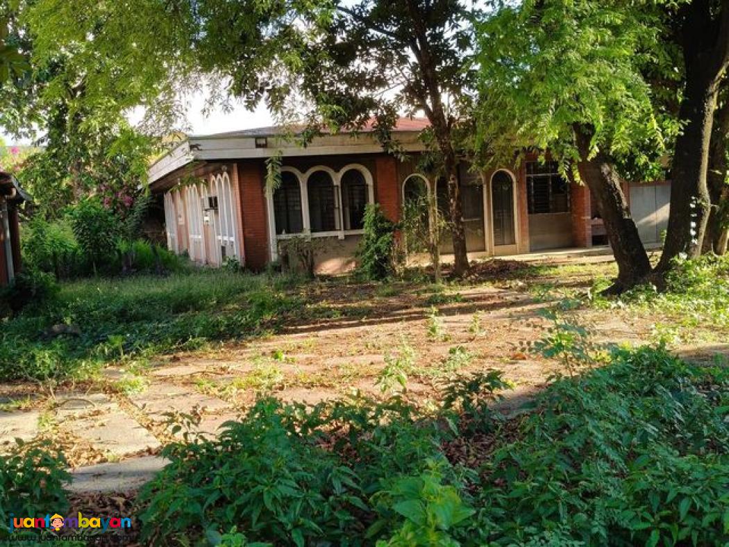 [ SALE ] HOUSE FOR RENT [ PASIG MANGAHAN ]