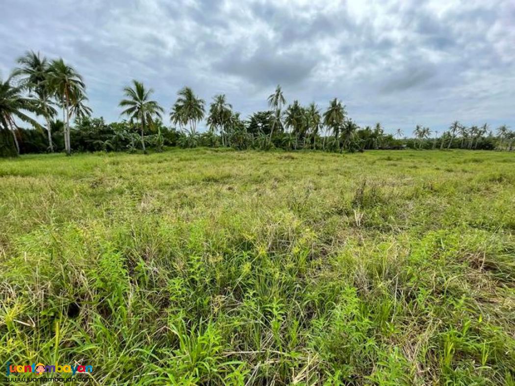 Roadside Lot Near AFAM Bridge, General Luna, Siargao