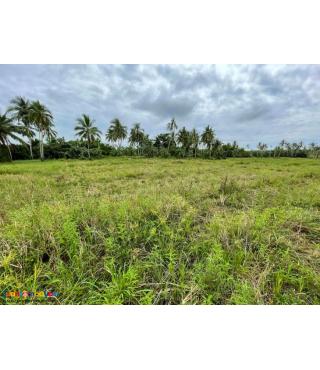 Roadside Lot Near AFAM Bridge, General Luna, Siargao