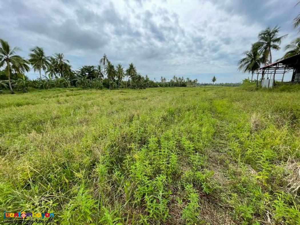 Roadside Lot Near AFAM Bridge, General Luna, Siargao