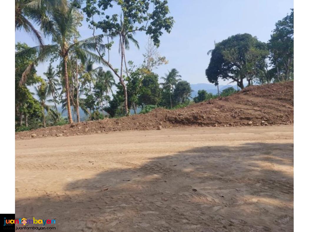 Lot for sale in mabitac Laguna 