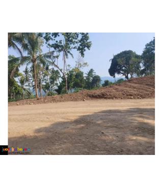 Lot for sale in mabitac Laguna 