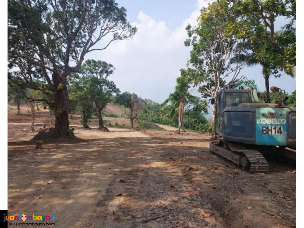 Lot for sale in mabitac Laguna 