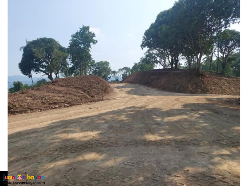 Lot for sale in mabitac Laguna 