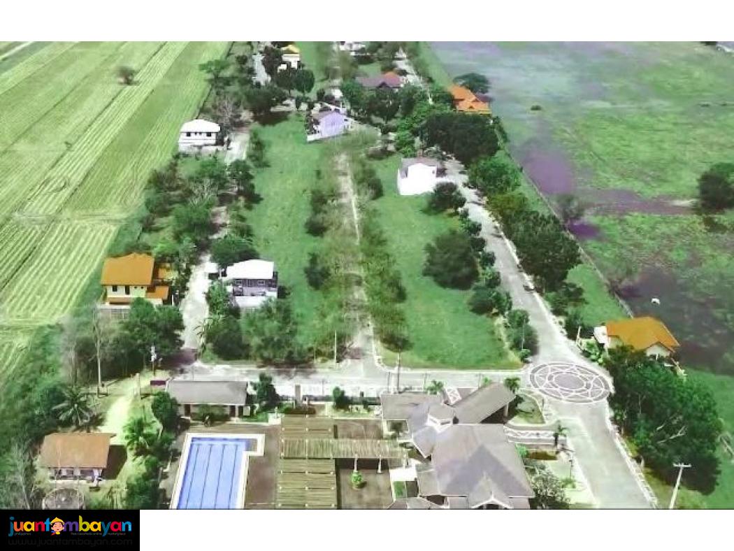Lot for sale in urdaneta pangasinan- Woodside Garden Village 