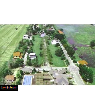 Lot for sale in urdaneta pangasinan- Woodside Garden Village 