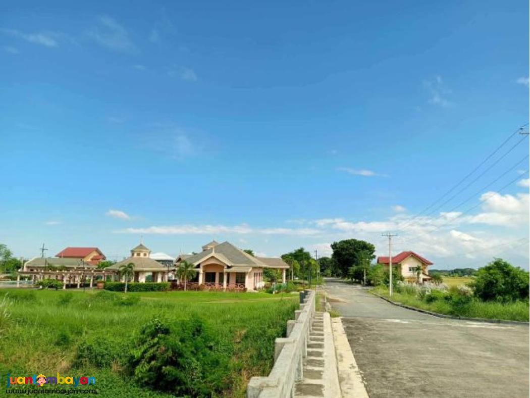 Lot for sale in urdaneta pangasinan- Woodside Garden Village 