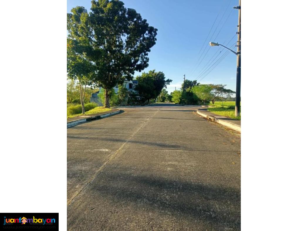 Lot for sale in urdaneta pangasinan- Woodside Garden Village 