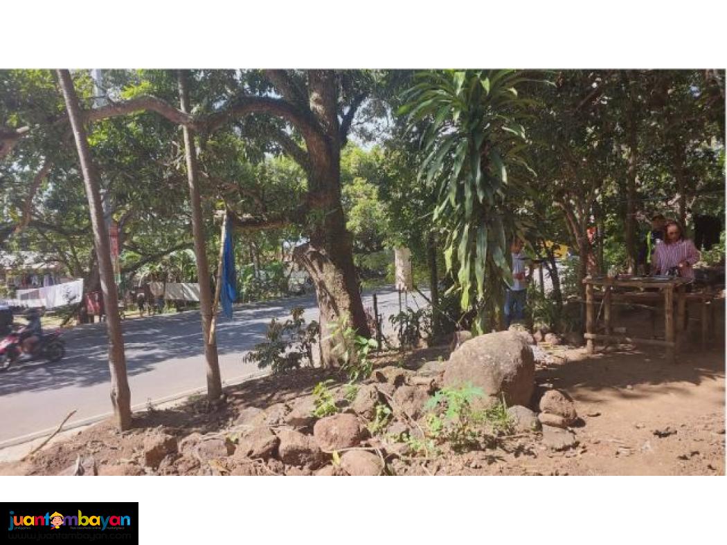 Lot for sale in Oro Vista Pililla Rizal with Promo discount 