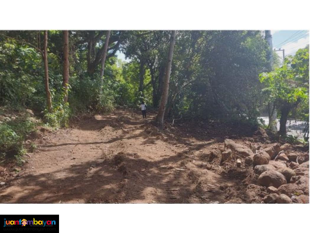 Lot for sale in Oro Vista Pililla Rizal with Promo discount 