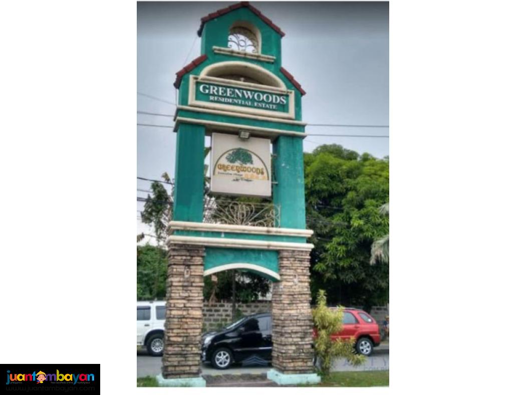 Lot for sale in greenwoods with terms payment