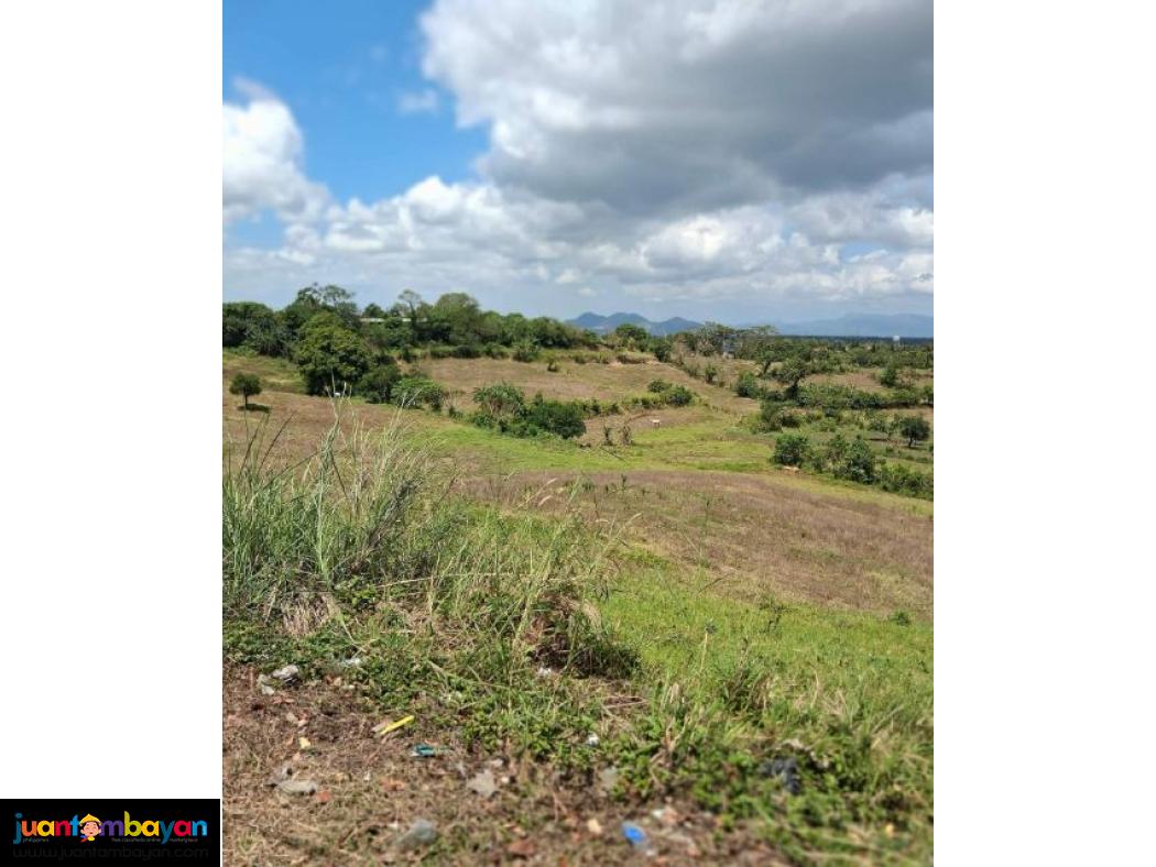 Property for sale the meadows tagaytay 