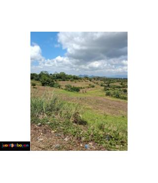 Property for sale the meadows tagaytay 
