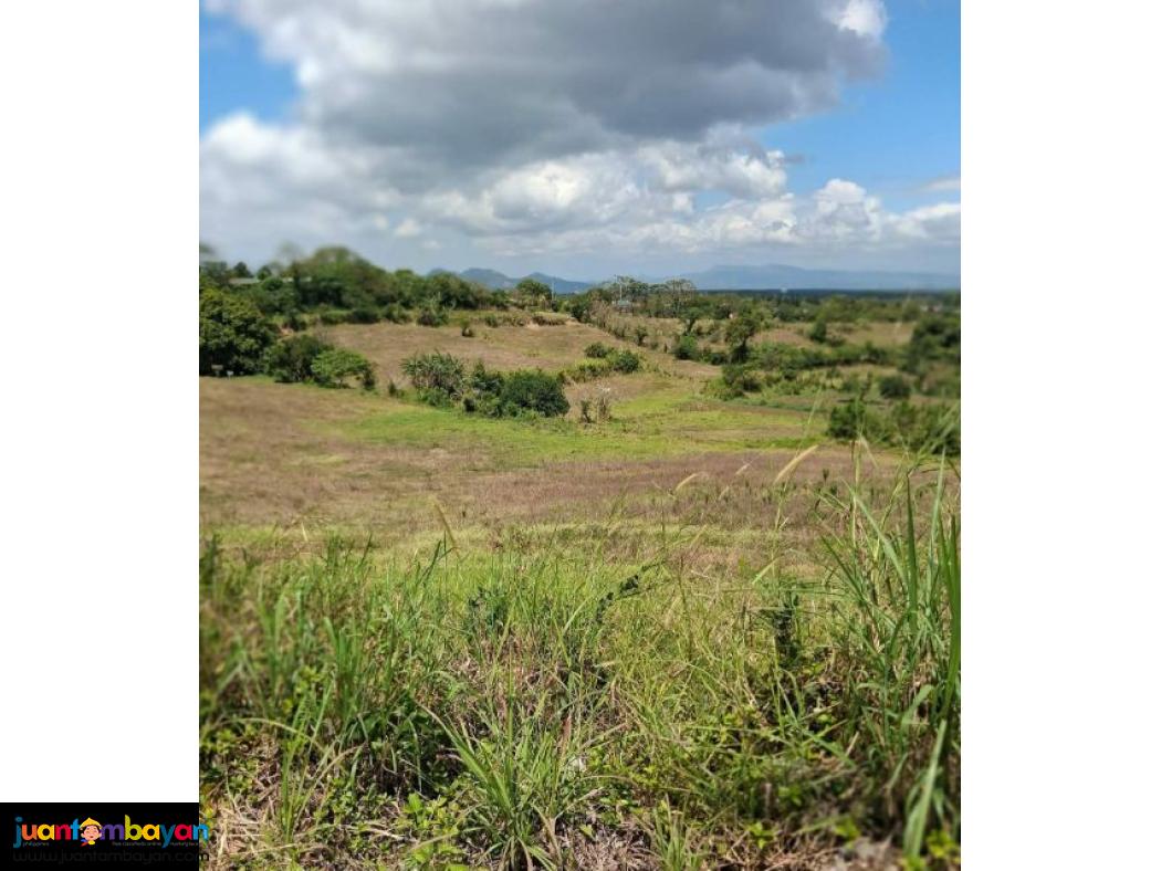 Property for sale the meadows tagaytay 