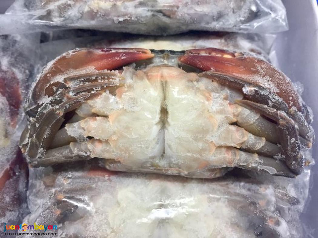 Premium Soft Shell Crab for Sale - Jewel Farms (Philippines)