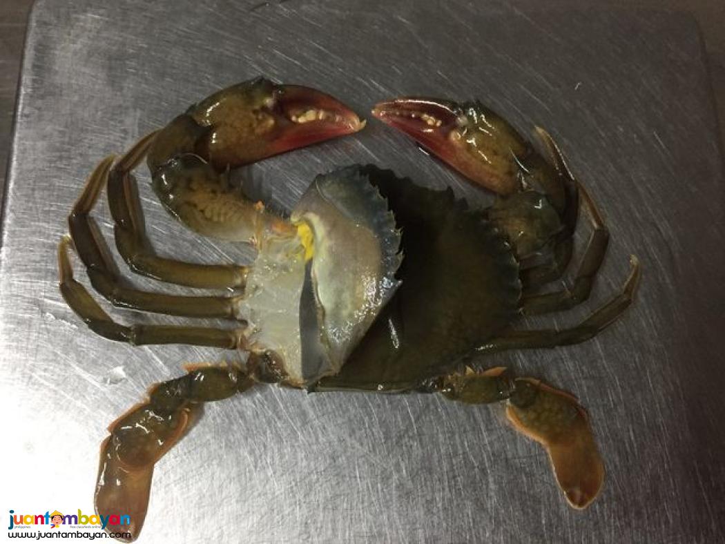 Premium Soft Shell Crab for Sale - Jewel Farms (Philippines)