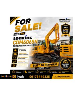 BRANDNEW LONKING CDM6065N EXCAVATOR CRAWLER TYPE YANMAE ENGINE 0.25CBM