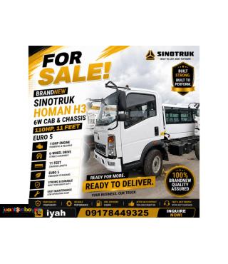 SINOTRUK HOMAN H3 6W CAB & CHASSIS 110HP 11 FEET EURO 5