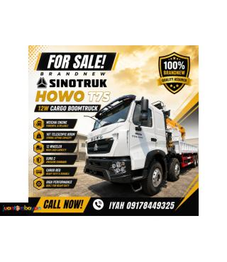 BRANDNEW SINOTRUK HOWO T7S 12W CARGO BOOMTRUK 16T TELESCOPIC E2