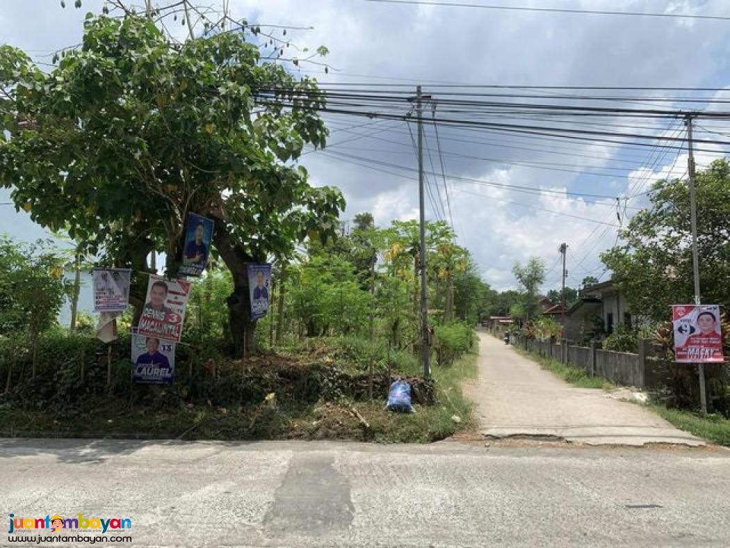 30 hectares Of agricultural land in Tanauan, Batangas