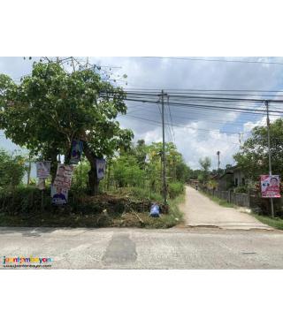 30 hectares Of agricultural land in Tanauan, Batangas