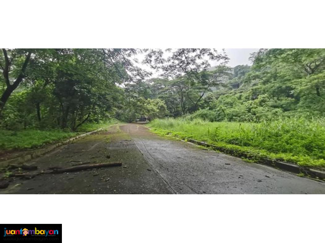 479sqm Vacant Lot For Sale in PALO ALTO Baras Rizal