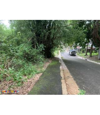 lot for sale in antipolo rizal at kingsville heights