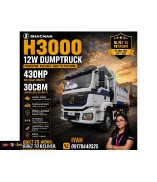 SHACMAN H3000 12W DUMPTRUCK 430HP 30CBM EURO 2