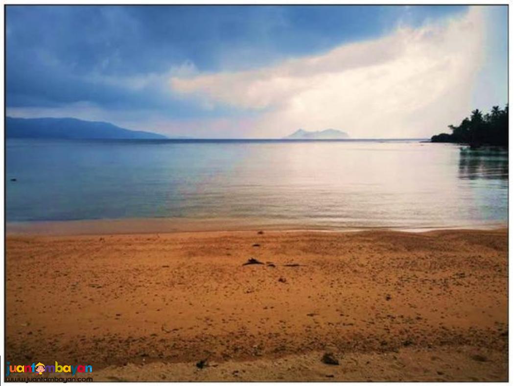 FOR SALE BEACH FRONT PROPERTY PALAWAN, SAN VICENTE 