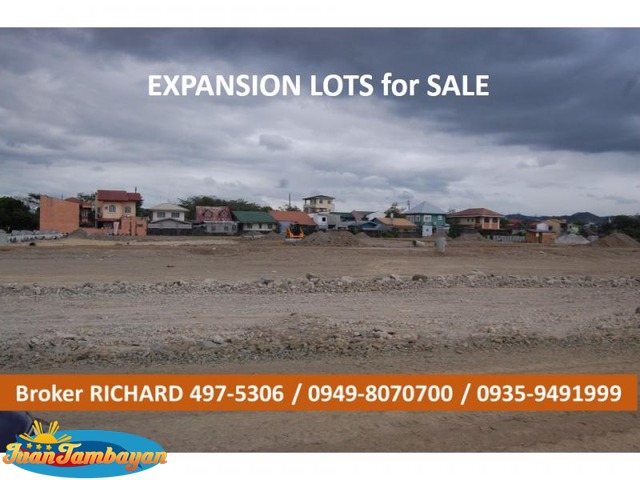 CAINTA GREENLAND Ph 3 and Ph 9 LOTS = 7,200/sqm  - ₱864,000