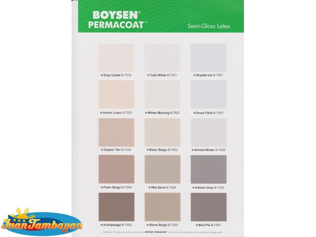 Boysen Color Paints choose colors1