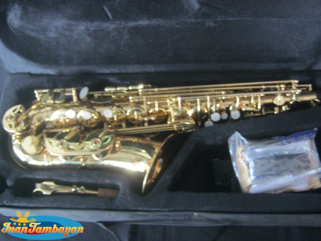 Saxophone, Saxophones Brand New (Soprano, Alto, Tenor) Different Brands