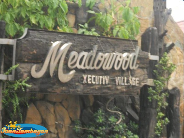 Lot for Sale in Meadowood executive village bacoor Cavite