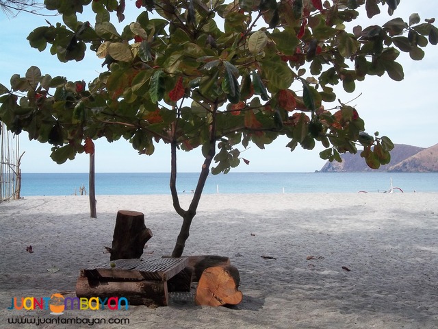Camping, Nagsasa Cove Camping, Nagsasa Cove