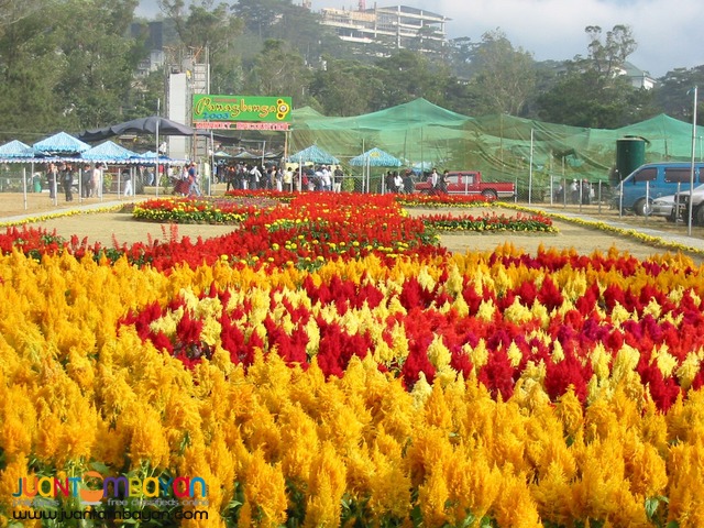 Baguio Tour Package A - Overnight