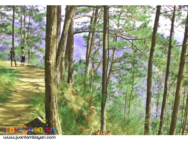 Baguio Package C, Overnight with Tree Top Adventure Baguio Baguio Package C, Overnight with Tree Top Adventure Baguio