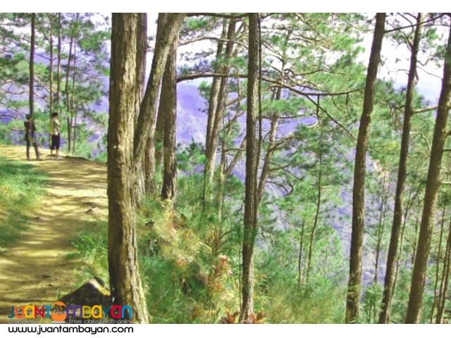 Baguio Package C, Overnight with Tree Top Adventure Baguio