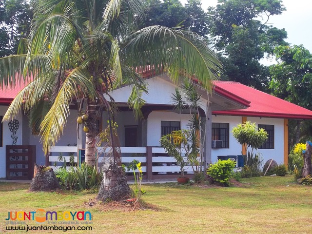 Azbahaen, Baler Tour Package Azbahaen, Baler Tour Package