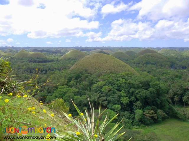 Bohol Tour Package 1, Bohol tour A, Panda Tea Garden Suites overnight 