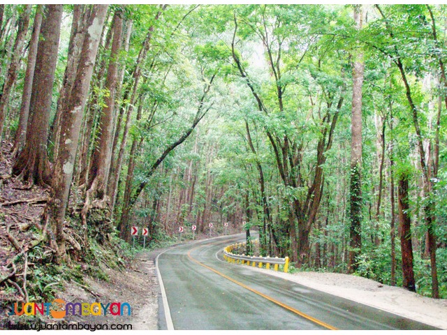 Bohol Tour Package 1, Bohol tour A, Bohol Tropics overnight