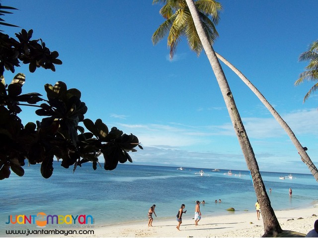 Bohol Tour Package 1, Bohol tour A, Bohol Bee Farm overnight Bohol Tour Package 1, Bohol tour A, Bohol Bee Farm overnight