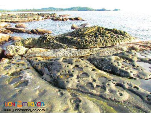 Malaysia tourist spots,Kinabalu Park & Poring Hot Spring Malaysia tourist spots,Kinabalu Park & Poring Hot Spring