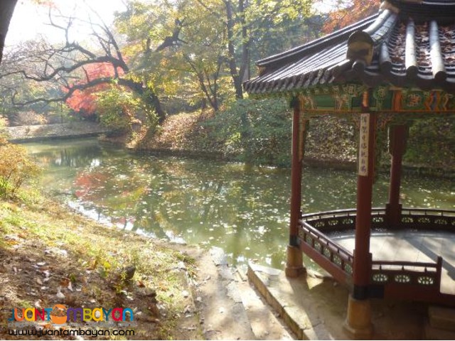 South Korea Tourist Spots,Korea Morning Tour 