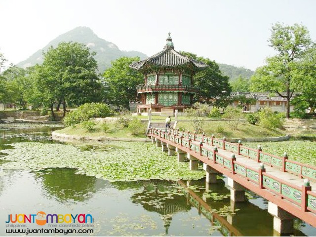 Korea tour package, Free and Easy Jeju Island
