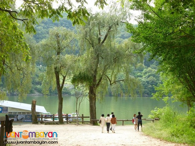 Seoul Korea Tourist spots, Nami Island, Full Day Tour Seoul Korea Tourist spots, Nami Island, Full Day Tour
