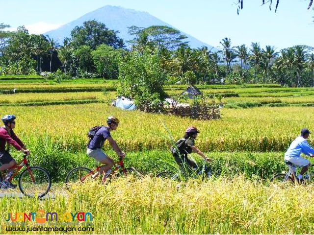 Bali Indonesia, Ubud Village