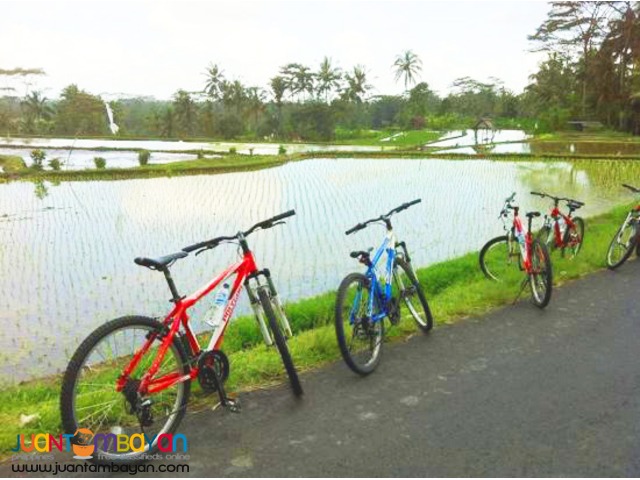 Bali Indonesia Tour, Cycling Tour