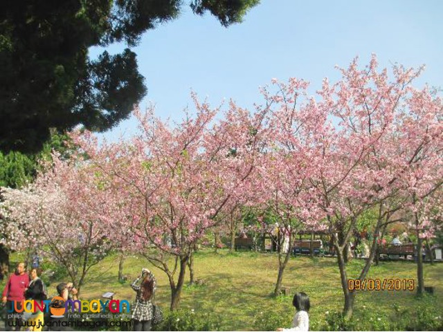 Taiwan tourist spots, Yangmingshan National park & Hot Spring Tour