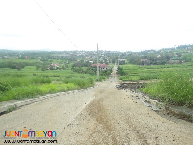 Lot for sale Over looking Greenridge Binangonan Flood free